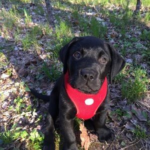 Meet your Posher, Margaret